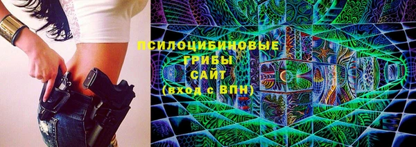 соль ск Балахна