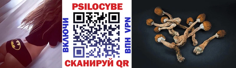 Галлюциногенные грибы Magic Shrooms хочу наркоту mega зеркало сайты даркнета какой сайт Теберда
